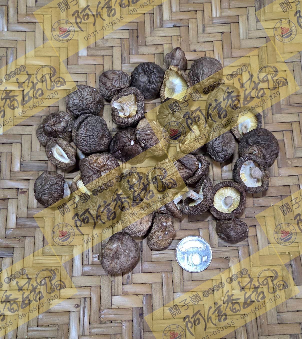 鈕扣
