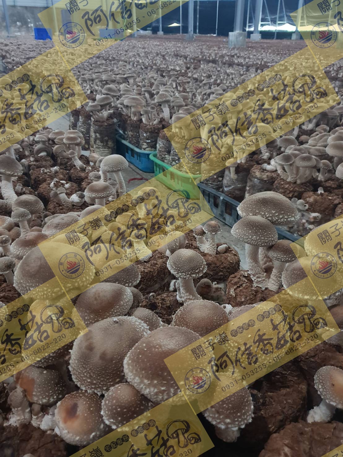 絕無添加，食安至上