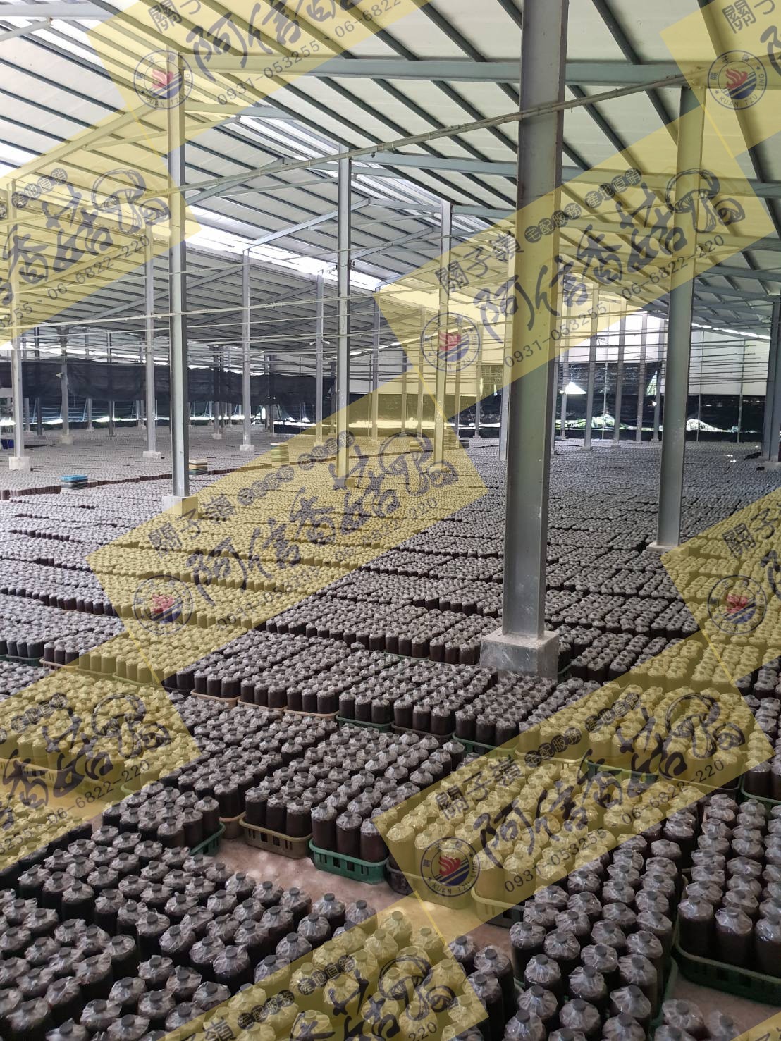 嚴格環境，自然孕育